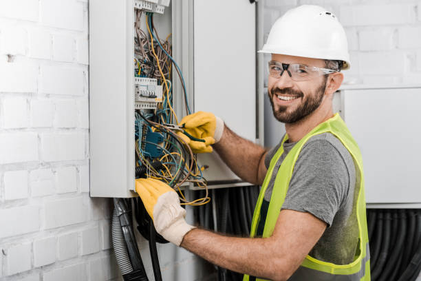 Best Electric Panel Repair  in Winona, MN