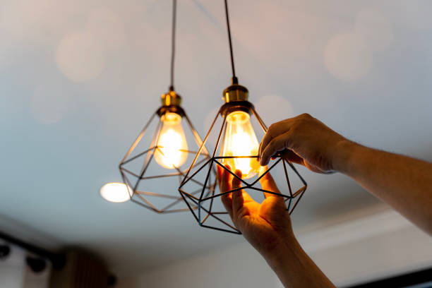 Best Local Electrician Companies  in Winona, MN