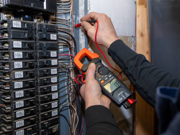Best Licensed Electrician  in Winona, MN